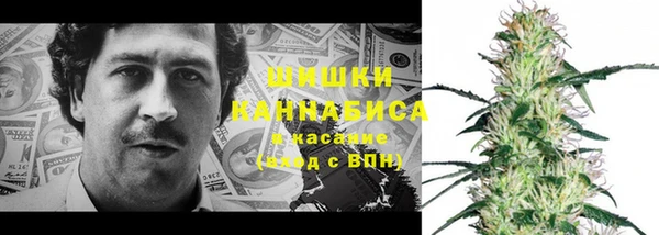эйфоретик Баксан