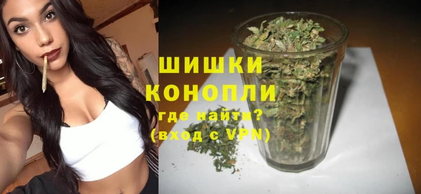 эйфоретик Баксан