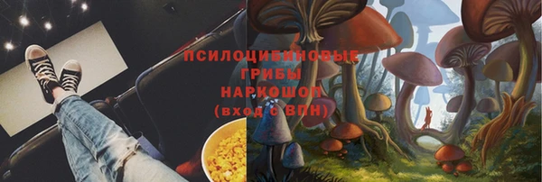 эйфоретик Баксан