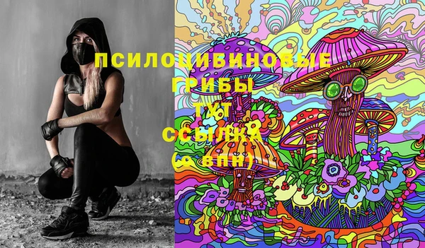 эйфоретик Баксан