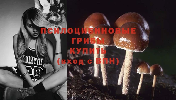 эйфоретик Баксан