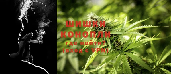 эйфоретик Баксан