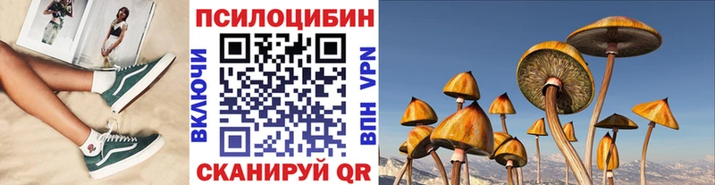 Псилоцибиновые грибы Psilocybine cubensis  Малоярославец 