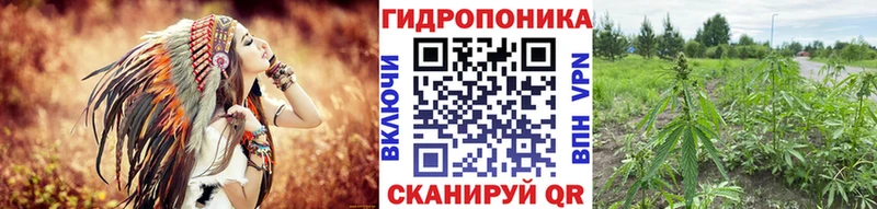 МАРИХУАНА сатива  OMG ONION  Малоярославец  наркошоп 
